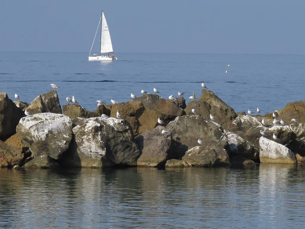 Villino Ermione Hotel Marina Di Pisa